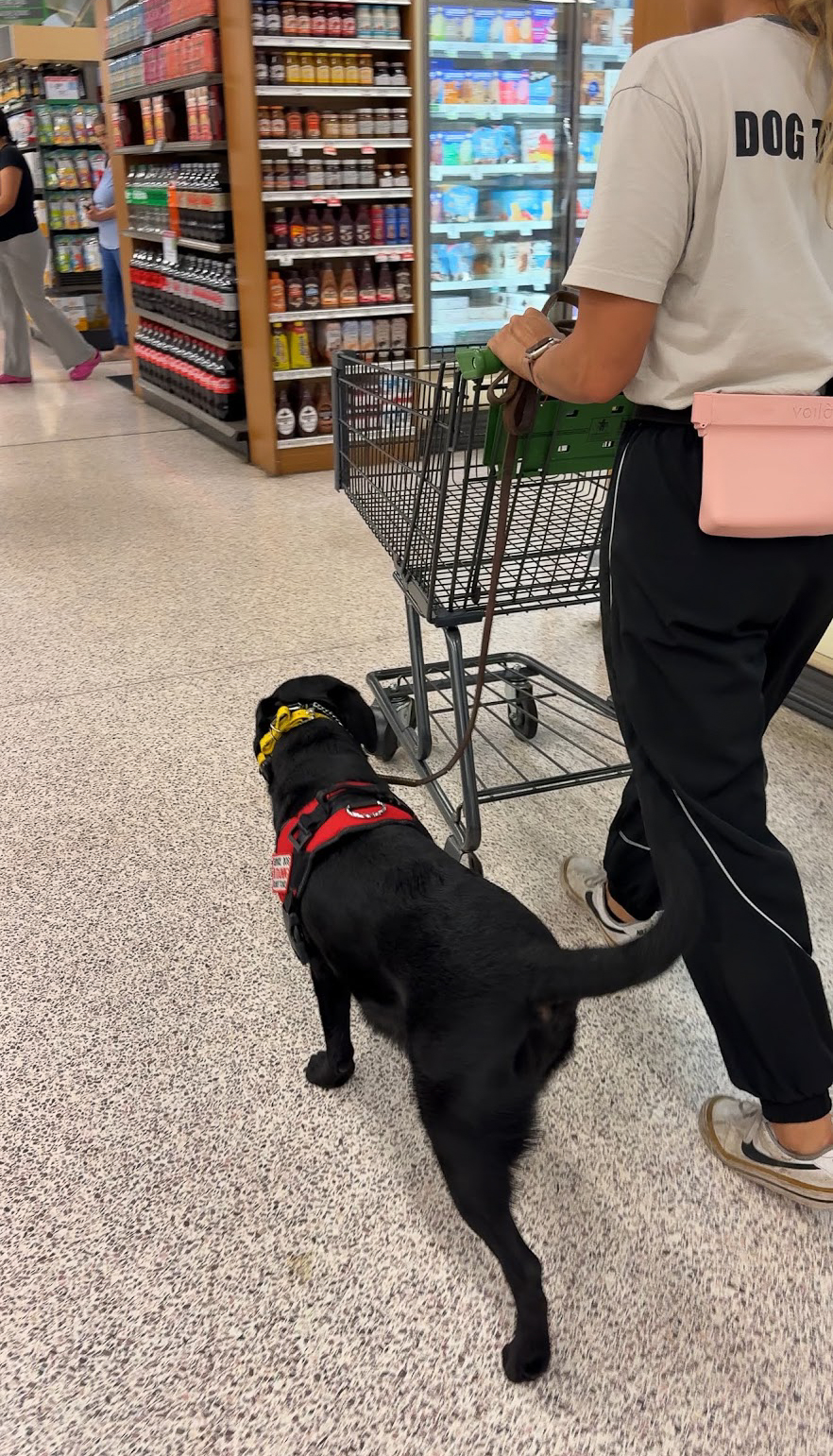 Woof Tang K9 trainer practicing public access training with a black service dog in a busy grocery store.