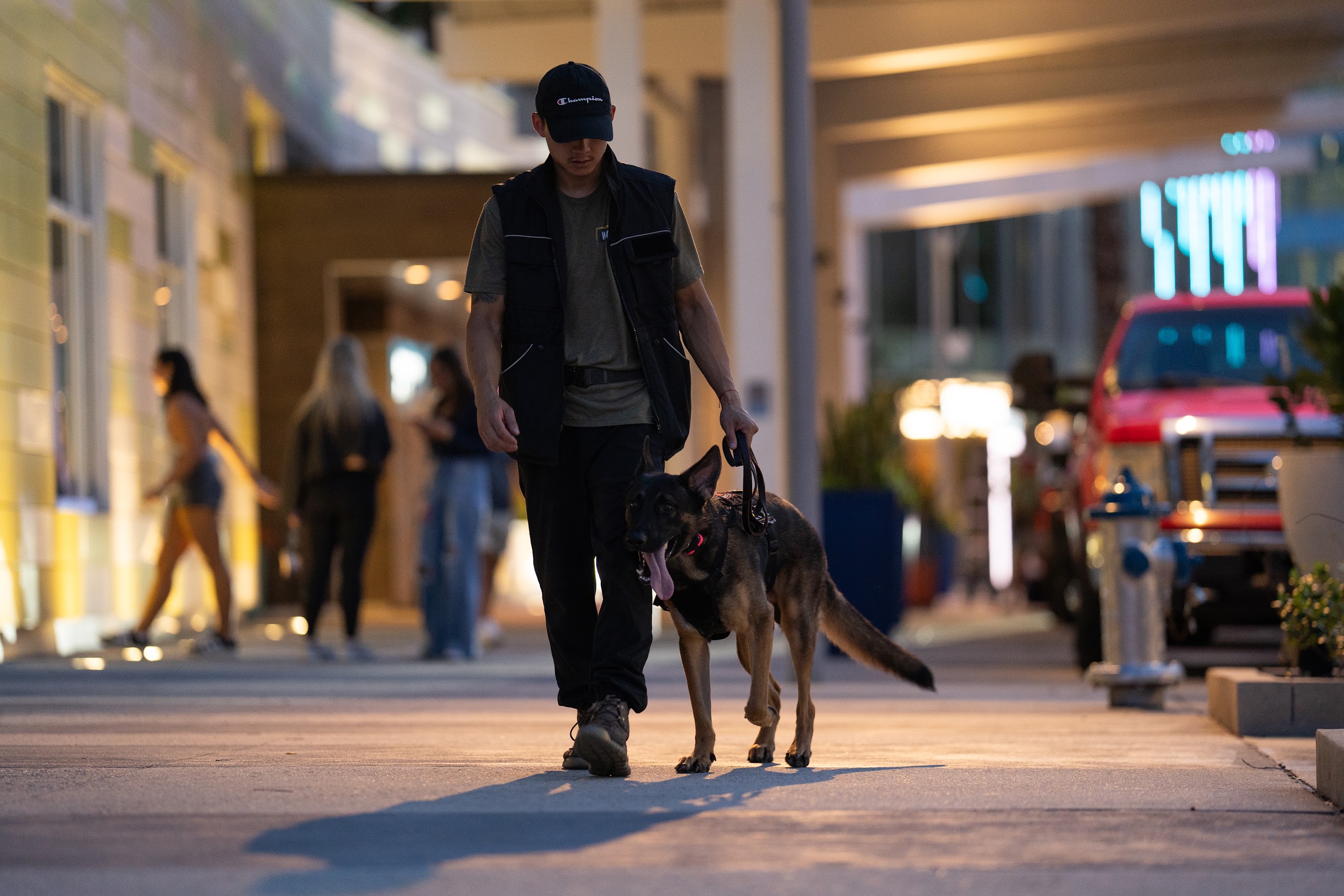 German Shepherd practicing public access training with a professional dog trainer in Orlando, Florida.